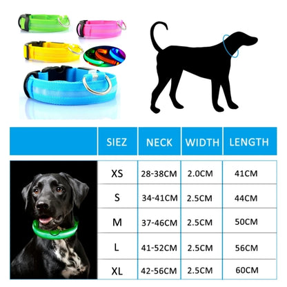 LED Dog Collar Light – USB Rechargeable Night Safety Anti-Lost Collar Accessory for Dogs & Puppies, Luminous Pet Walking Light.