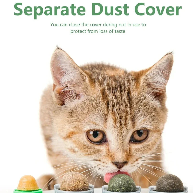 4-in-1 Rotating Catnip & Silver Vine Ball – Wall-Mounted Edible Cat Toy for Teeth Cleaning, Acne Prevention & Digestive Health.