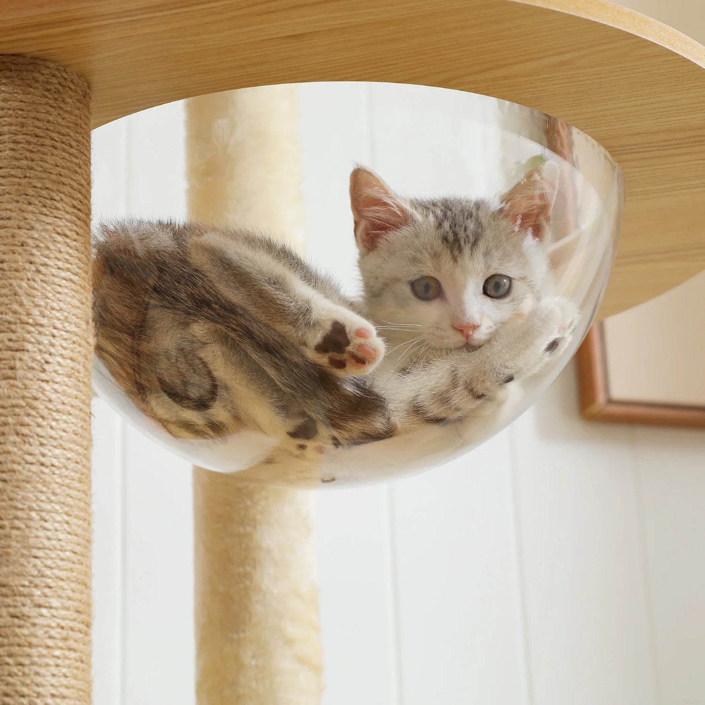 Multi-Level Wooden Cat Tree – Indoor Cat Tower with Scratching Posts, Condo, Hammock & Top Perch, Spacious Cat Scratcher & Play Center.