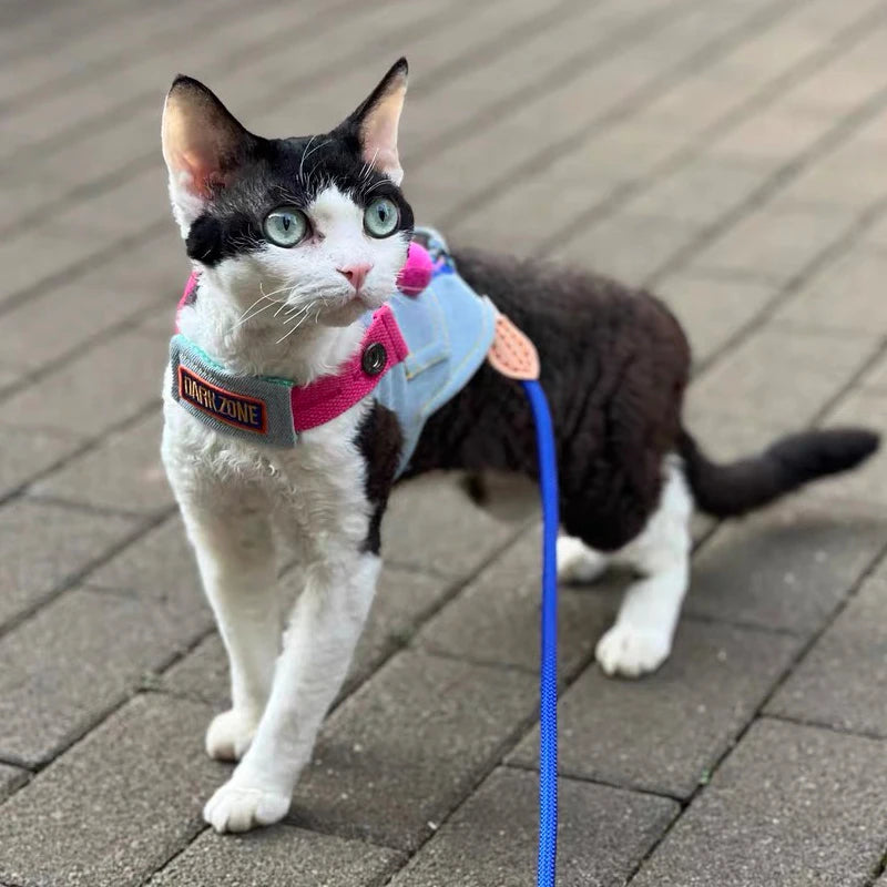 Outdoor Cowboy Sphynx Cat Harness & Leash – Luxury Sleeveless Denim Adjustable Harness for Travel, Walking & Hiking with Devon Rex Kittens.