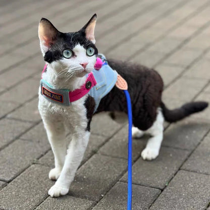 Outdoor Cowboy Sphynx Cat Harness & Leash – Luxury Sleeveless Denim Adjustable Harness for Travel, Walking & Hiking with Devon Rex Kittens.