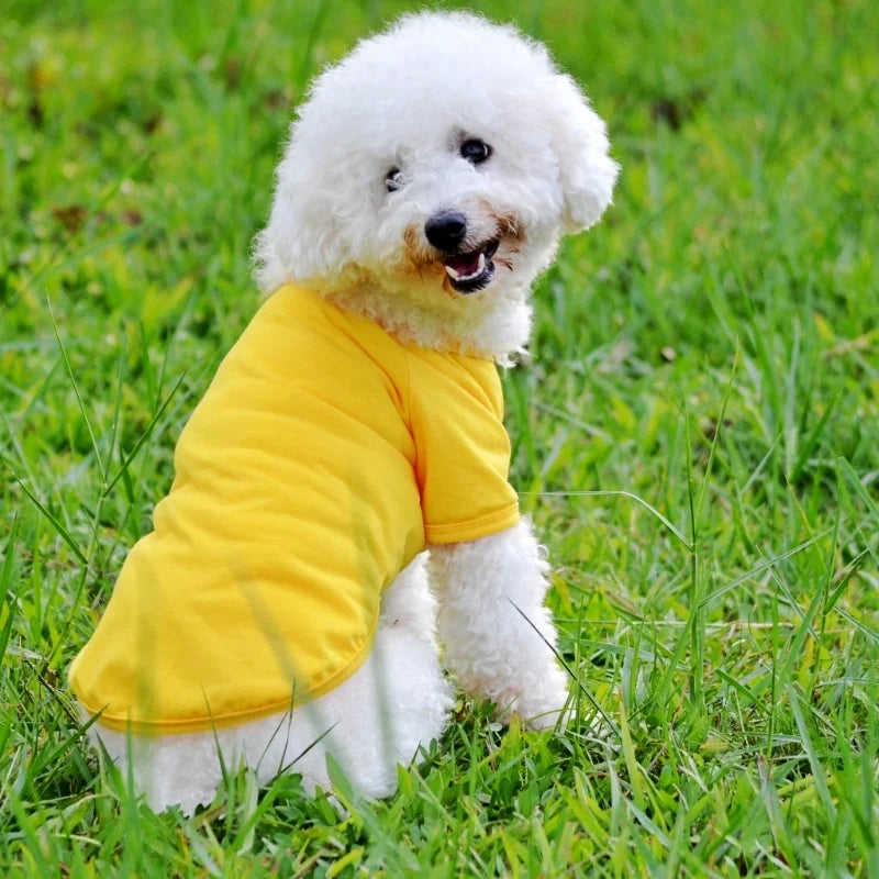 Luxury Pet Polo Shirt – Soft Summer Dog Clothing for Small Dogs, Cute Solid Color Pet Outfit.