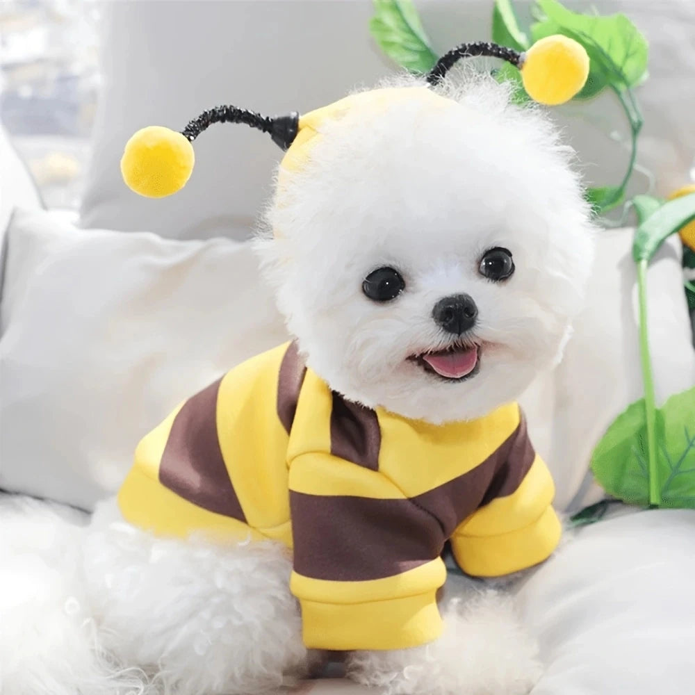 Bee Pet Costume Hoodie – Cute Halloween Cosplay Outfit for Dogs & Cats, Warm Winter Jacket for Small & Medium Pets.