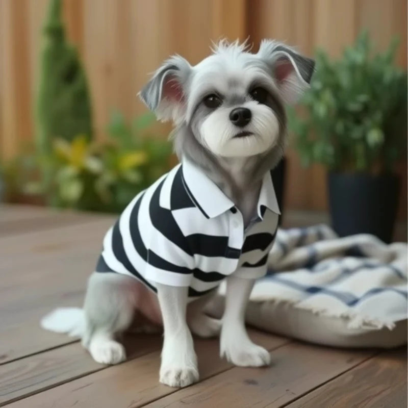 Pet Dog Polo Shirt – Summer Casual T-Shirt for Small & Large Dogs and Cats, Stylish Chihuahua, Pug & Yorkshire Outfit.