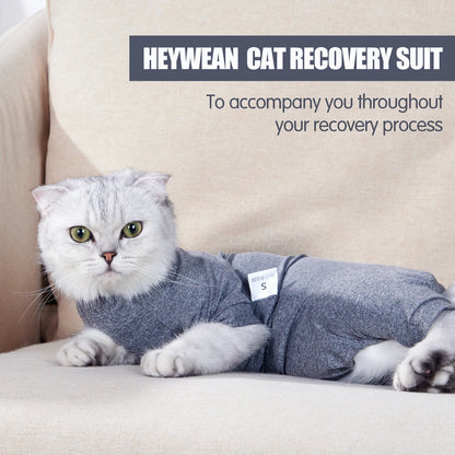 Pet Surgery Recovery Suit – Soft Cotton Postoperative Clothes for Cats, Warm Anti-Licking Recovery Wear for Post-Surgery Care.