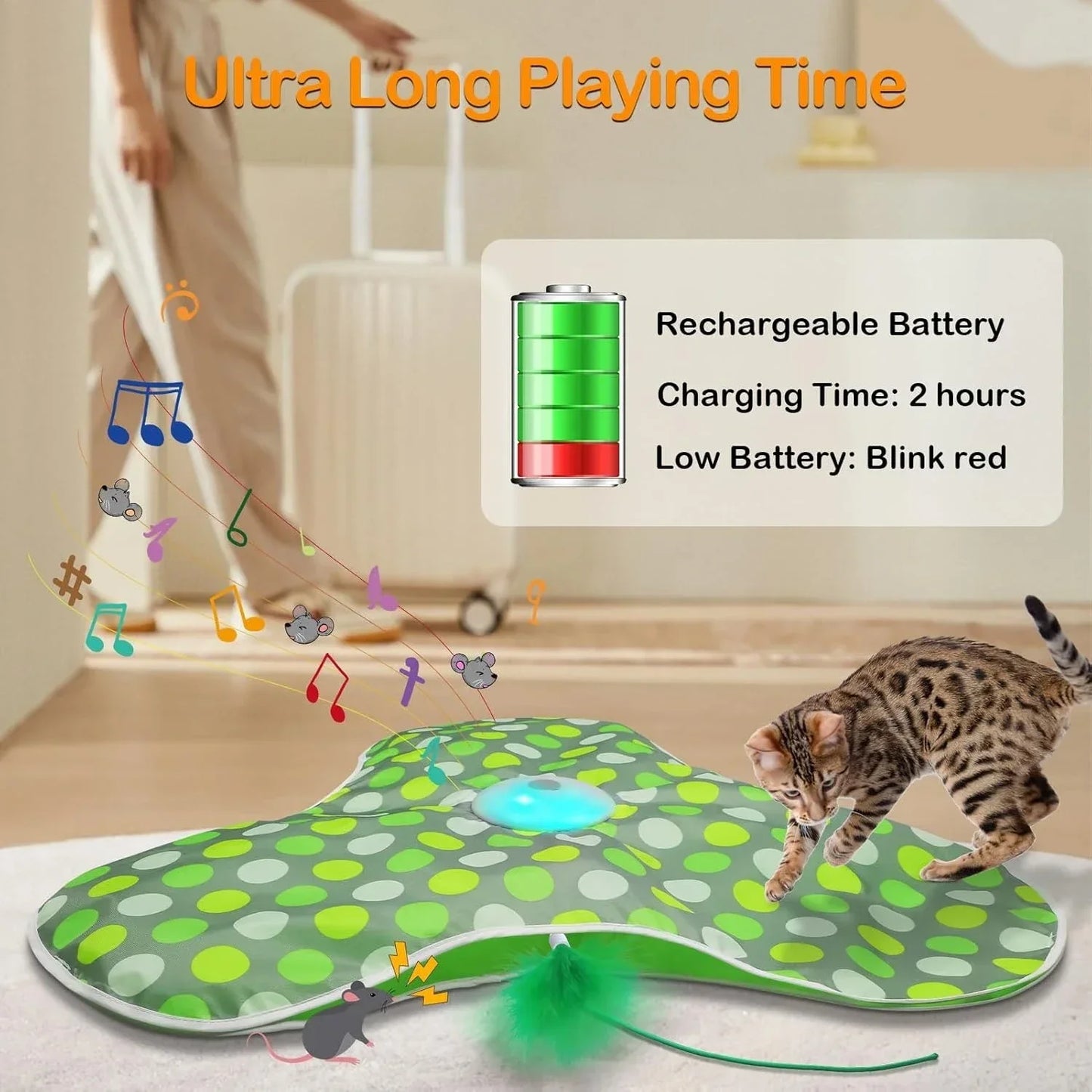 Smart Interactive Hide & Seek Cat Toy – Motion-Activated Mouse Squeaky Toy with Moving Concealed Feathers for Kittens & Indoor Cats.