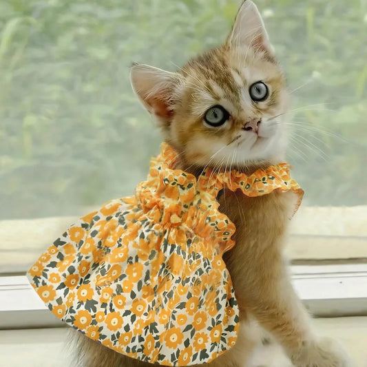 Breathable Cat Summer Dress – Orange Floral Skirt with Soft Bowtie & Elastic T-Shirt Design for Kittens and Small Pets.
