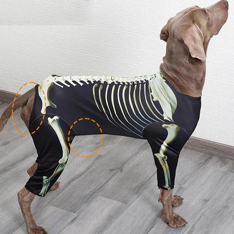 Halloween Skeleton Dog Costume – Comfortable Dress-Up Outfit for Large Breed Dogs.