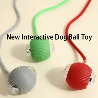 Automatic Rolling Dog Ball – Rechargeable Interactive Smart Toy for Dogs, Intelligent Motion Puppy Play Ball.