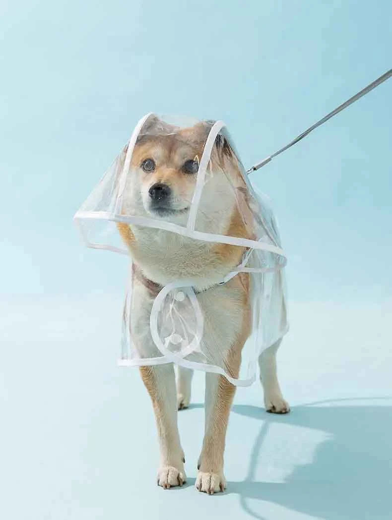 Transparent Waterproof Dog Raincoat – Hooded Pet Jacket for Outdoor Walks, Lightweight Protective Rain Gear for Dogs.