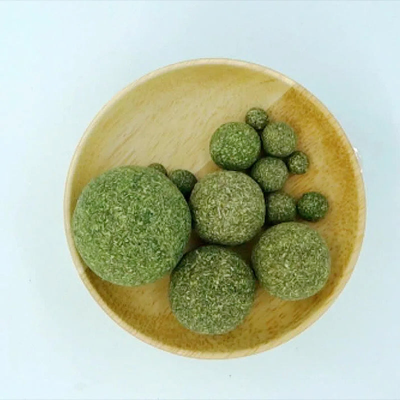 Edible Catnip Ball Toy – Safe & Healthy Mint Cat Toy for Chasing, Teeth Cleaning & Digestive Support for Cats.