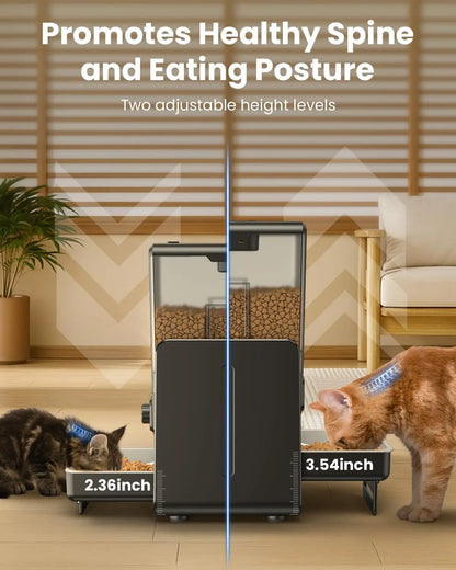 Automatic Cat Feeder for 2 Cats – Timed Dry Food Dispenser with Adjustable Double Bowls and Dual Power Supply.