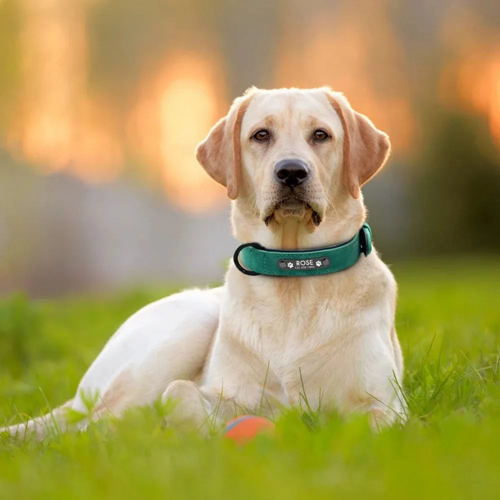 Personalized Leather Dog Collar – Custom Name ID Tag Collar for Small, Medium & Large Dogs, Durable Adjustable Pet Accessory.