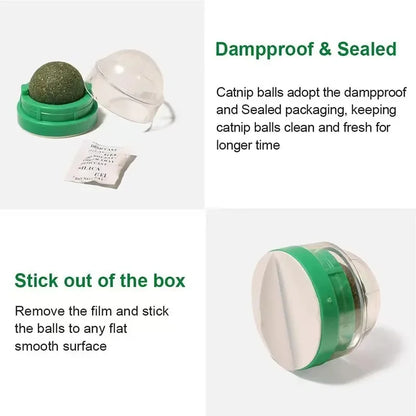 Catnip Cat Wall Stick-on Ball Toy Scratchers Treats Healthy Natural Removes Balls to Promote Digestion Cat Grass Snack.