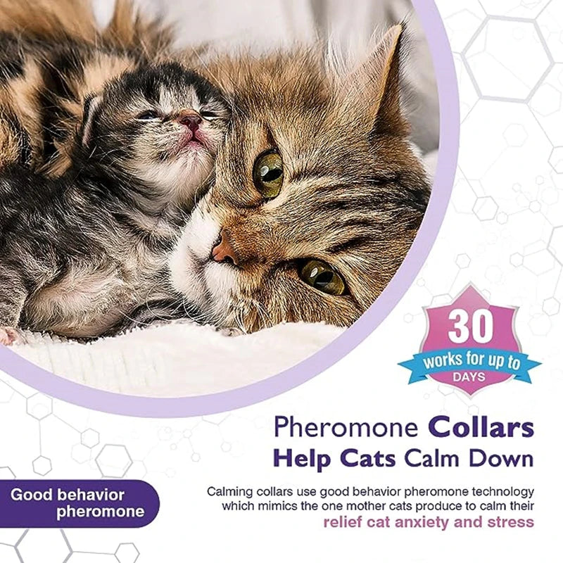 Calming Pet Collar – Anxiety Relief Retractable Collar for Dogs & Cats, Adjustable 56/72cm Design for Puppies, Kittens & Large Dogs