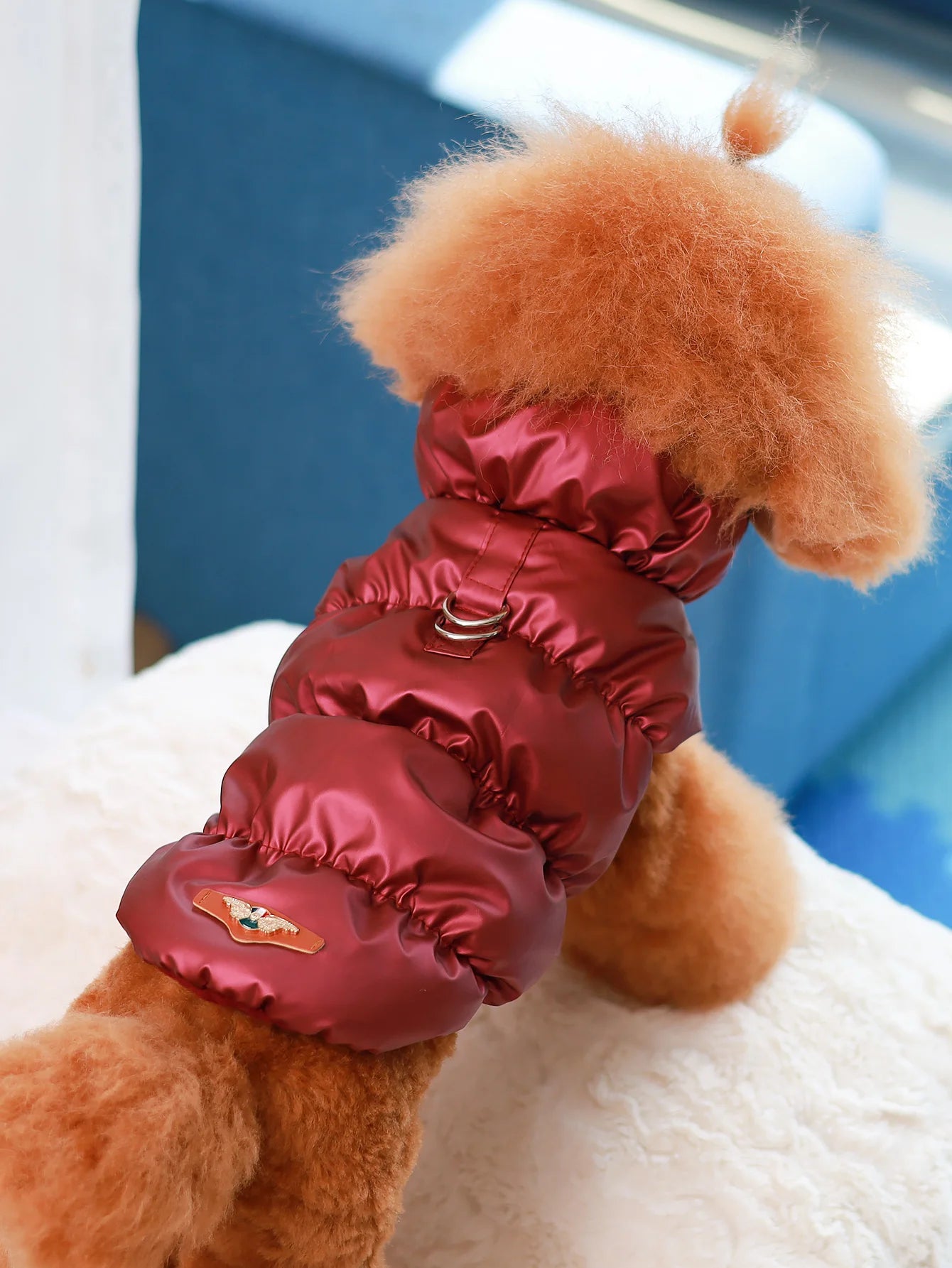 Dog Jacket for Autumn & Winter – 3-Layer Thick Warm Pet Coat for Small & Medium Dogs.