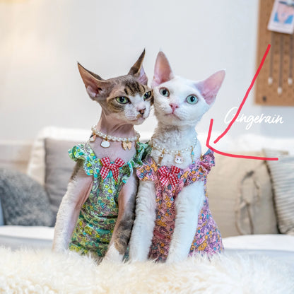 Luxury Sphynx Cat Dress – Sleeveless Cotton Princess Skirt for Devon Rex & Sphynx Cats, Sweet Spring & Summer Pet Outfit.