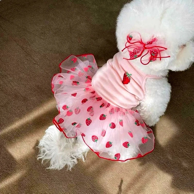 Summer Strawberry Pet Dress – Cute Mesh Suspender Skirt Outfit for Dogs & Puppies, Lightweight Breathable Pet Clothing.