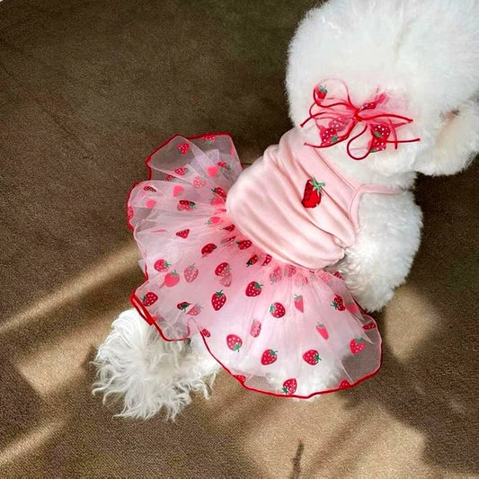 Summer Strawberry Pet Dress – Cute Mesh Suspender Skirt Outfit for Dogs & Puppies, Lightweight Breathable Pet Clothing.