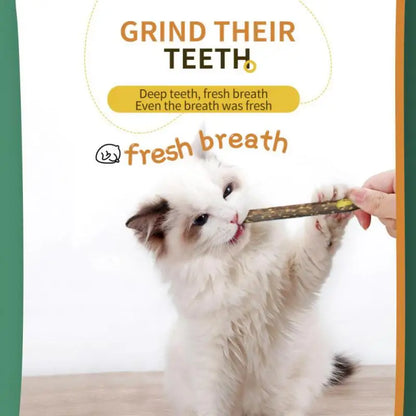 100-Pack Natural Matatabi (Silvervine) Cat Chew Sticks, Catnip Dental Treats for Teeth Cleaning, Healthy Chewing & Interactive Play