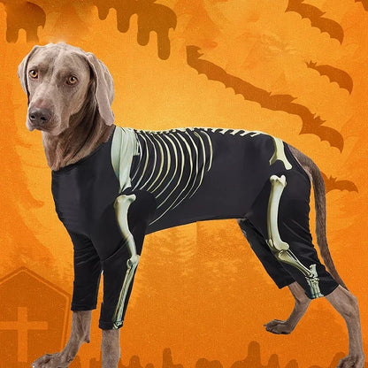 Halloween Skeleton Dog Costume – Comfortable Dress-Up Outfit for Large Breed Dogs.