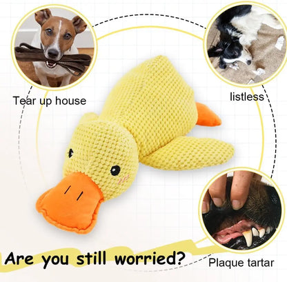 Duck Plush Dog Toy – Durable Chew-Resistant Squeaky Toy for Small & Large Dogs, Soft Companion for Teeth Grinding & Playtime.