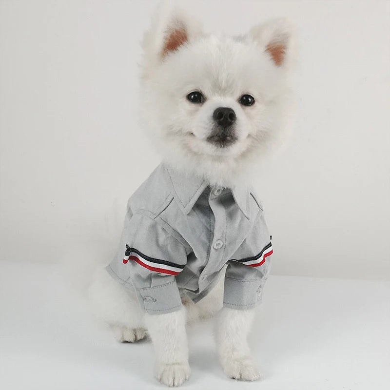 Designer Pet Shirt – Japanese, Korean & British Style Casual Outfit for Dogs & Cats, Fashionable Spring & Summer Clothing.
