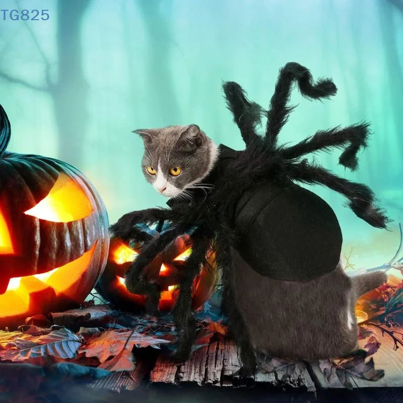 Halloween Spider Pet Costume – Funny Cosplay Dress-Up Outfit for Dogs & Cats.