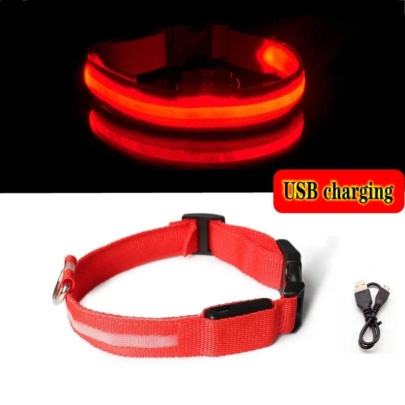 LED Dog Collar Light – USB Rechargeable Night Safety Anti-Lost Collar Accessory for Dogs & Puppies, Luminous Pet Walking Light.