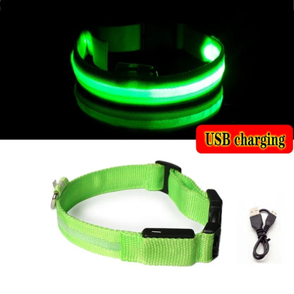 LED Dog Collar Light – USB Rechargeable Night Safety Anti-Lost Collar Accessory for Dogs & Puppies, Luminous Pet Walking Light.