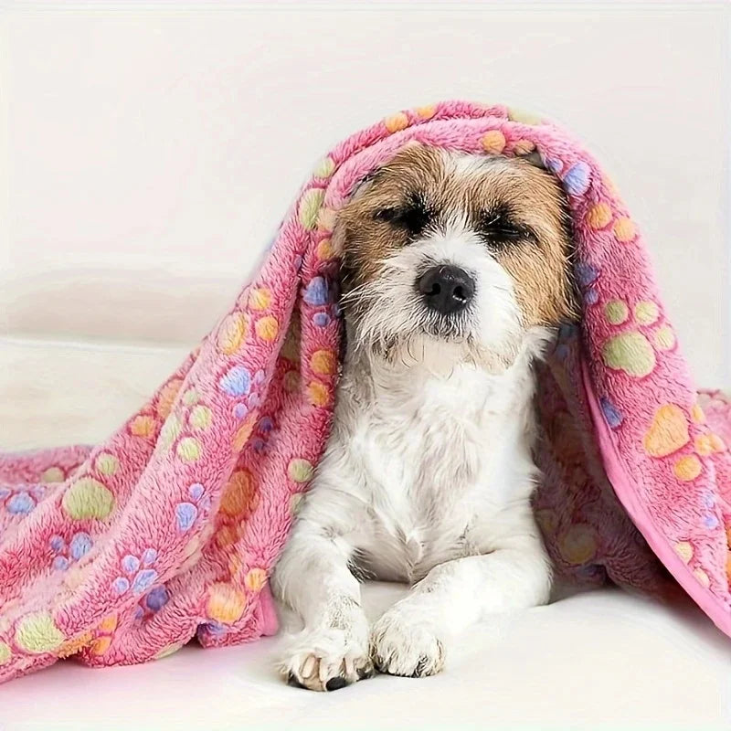 3-Pack Soft Flannel Fleece Pet Blankets – Warm Paw Print Sleeping Mats for Cats & Dogs