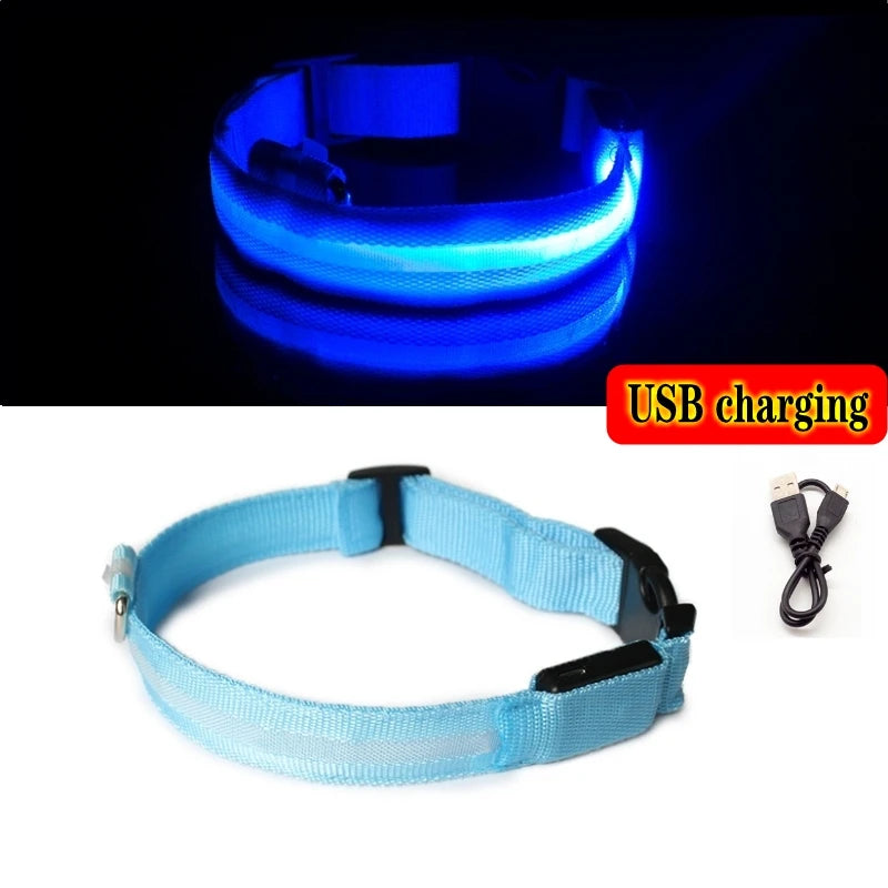 LED Dog Collar Light – USB Rechargeable Night Safety Anti-Lost Collar Accessory for Dogs & Puppies, Luminous Pet Walking Light.