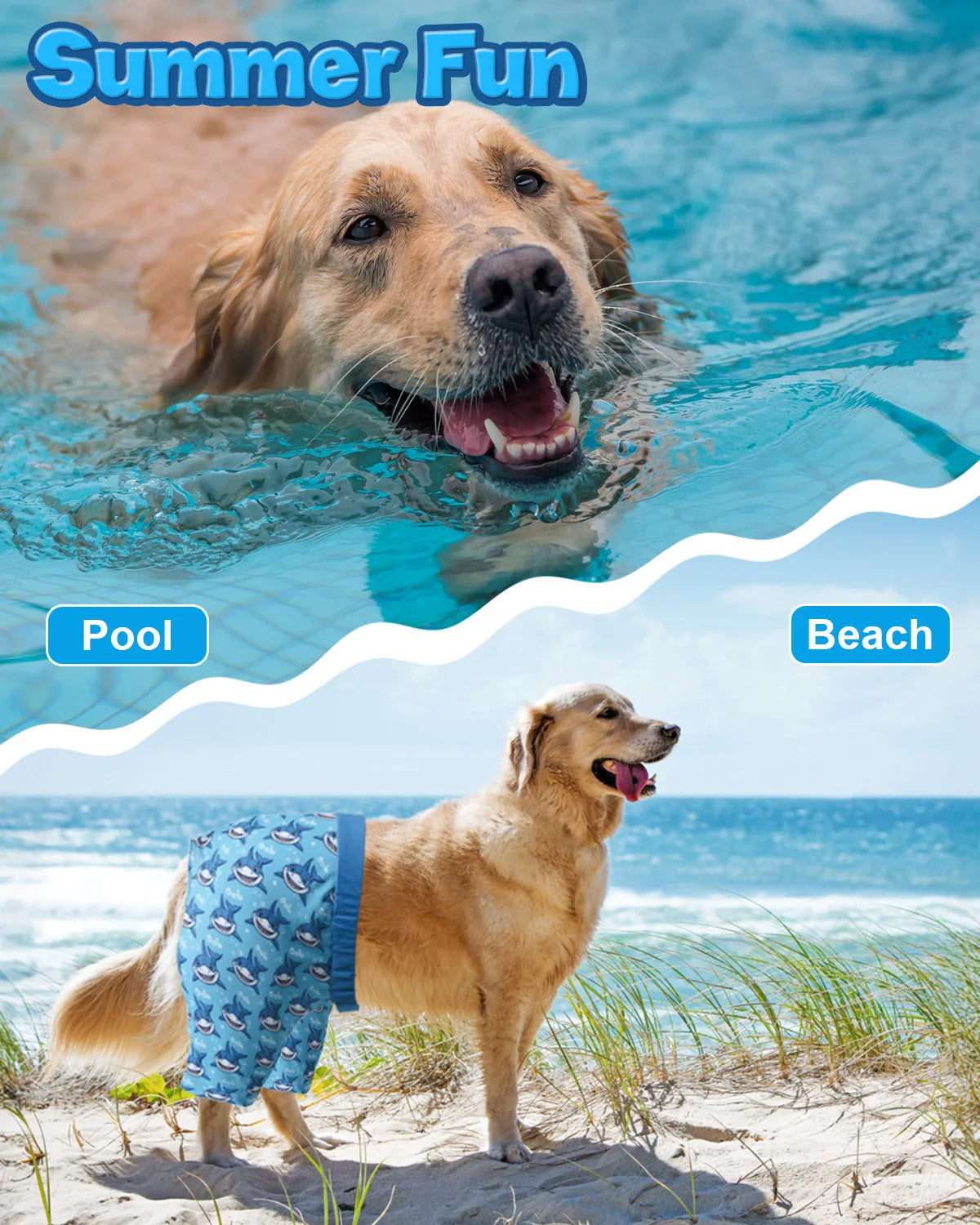 CuteBone Dog Swim Trunks – Quick-Dry UV Protection Swimsuit Shorts with Adjustable Waistband for Small & Medium Dogs, Beach & Pool Wear.