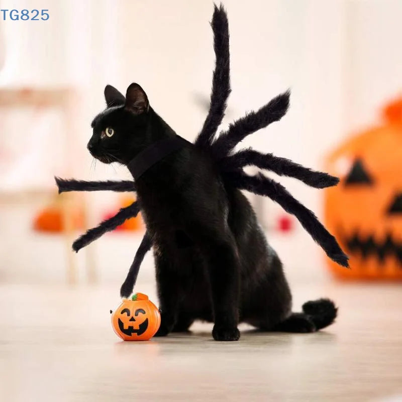Halloween Spider Pet Costume – Funny Cosplay Dress-Up Outfit for Dogs & Cats.