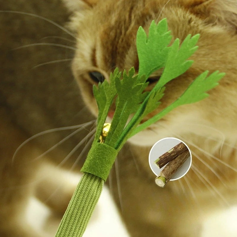 Interactive Catnip Chew Toy – Natural Molar Stick with Bell for Cats & Kittens, Bite-Resistant Teeth Cleaning & Fun Play Toy.