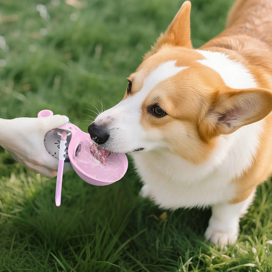 285ML Portable Pet Water Bottle – Leak-Proof Outdoor Drinking Cup with 304 Stainless Steel & Foldable Silicone Bowl for Dogs & Cats.