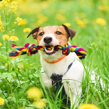 Interactive Tug of War Dog Toy – Braided Cotton Rope for Pulling, Chewing & Fun Bonding Play with Your Pet.