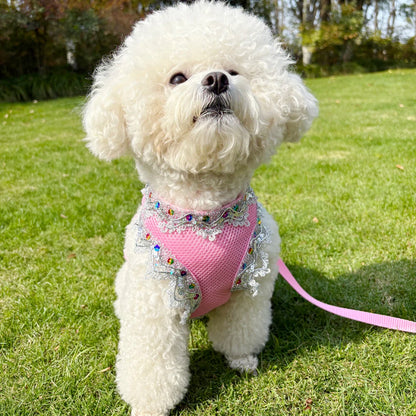 Adjustable Cat Harness & Leash Set – Breathable Comfortable Vest Harness for Cats & Small to Medium Dogs, Cute Walking Accessory.