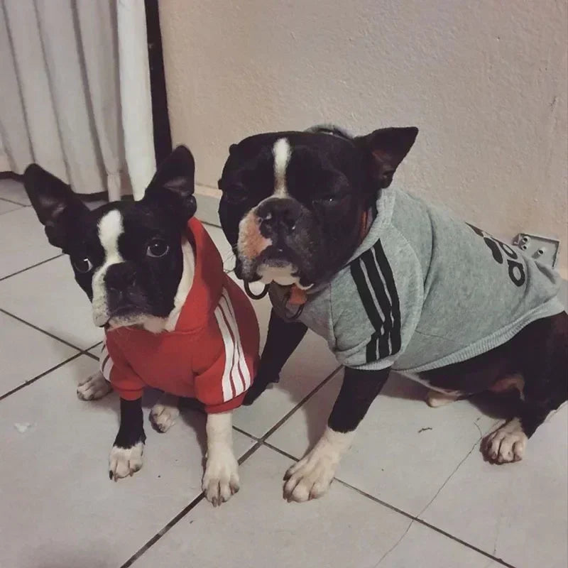 Winter Dog Hoodie – Adidog Sports Sweatshirt, Warm Coat for Small, Medium, Large Dogs & Cats, Comfortable Pet Winter Outfit.