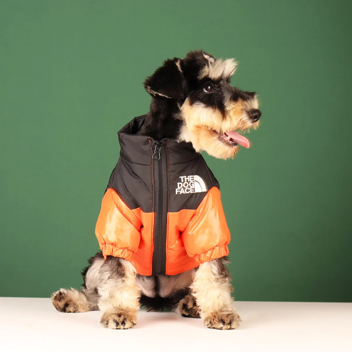 Winter Windproof Dog Jacket – Warm Reflective Pet Coat for Small to Medium Dogs.