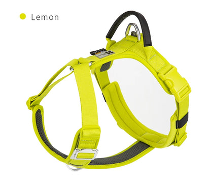 Adjustable Reflective No-Pull Pet Harness – Comfortable Nylon Dog Harness for Walking & Running Control for Small Dogs.