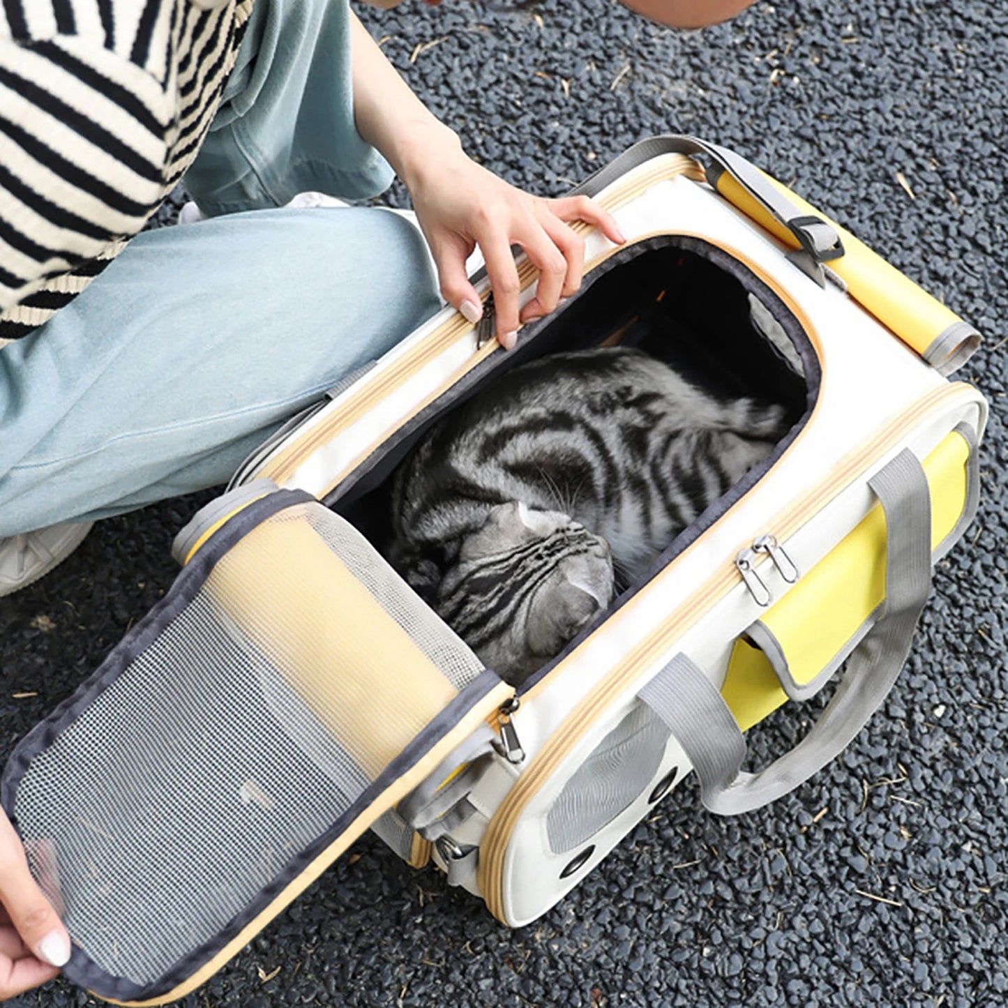 Foldable Airline-Approved Pet Carrier Bag – Durable Oxford Fabric Travel Tote with Ventilation for Small Dogs, Cats.