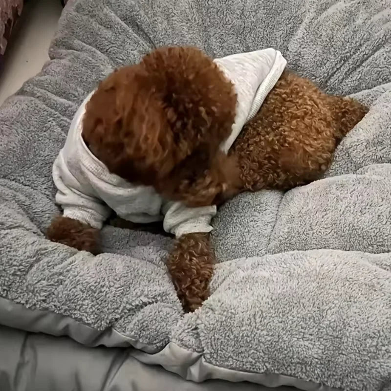 Extra Large Plush Dog Bed Sofa – 120×60cm Thickened Super Soft Pet Mat & Crate Bed for Large Dogs, Cozy Polyester Cushion Design.