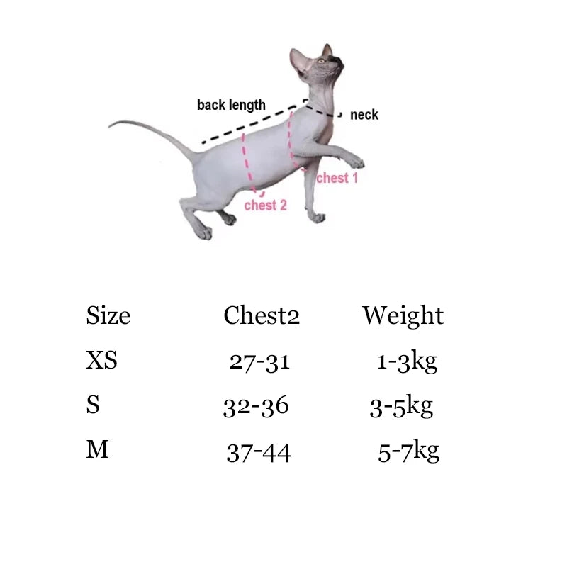 Outdoor Cowboy Sphynx Cat Harness & Leash – Luxury Sleeveless Denim Adjustable Harness for Travel, Walking & Hiking with Devon Rex Kittens.