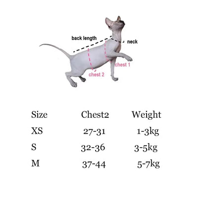 Outdoor Cowboy Sphynx Cat Harness & Leash – Luxury Sleeveless Denim Adjustable Harness for Travel, Walking & Hiking with Devon Rex Kittens.