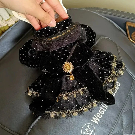 Velvet Black & Gold Pet Dress – Fashionable Girly Outfit for Small Dogs, Cute Luxury Print Clothing for Pets.