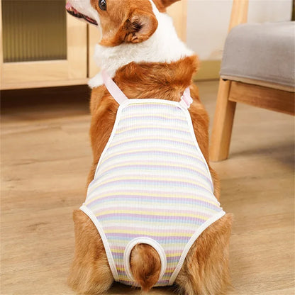 Adjustable Pet Underwear Shorts – Washable Physiological Pants with Shoulder Strap for Female Dogs, Comfortable Safety Diaper Trousers for Pets.