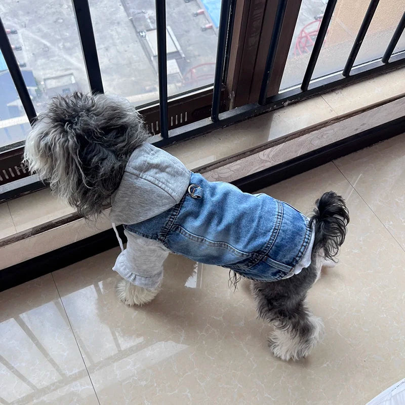 Cool Denim Dog Jacket Vest – Hoodie Style with D-Ring Harness for Small & Medium Dogs & Cats, Spring Walking Coat for Puppies.
