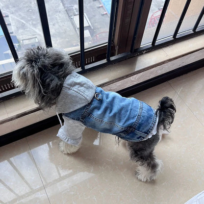 Cool Denim Dog Jacket Vest – Hoodie Style with D-Ring Harness for Small & Medium Dogs & Cats, Spring Walking Coat for Puppies.