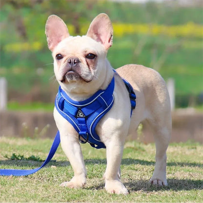 No-Pull Dog Harness & Leash Set – Adjustable Reflective Pet Vest Harness for Small Dogs & Cats, Comfortable Walking Chest Strap Lead.